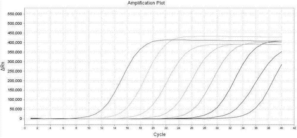 Kit for detecting PIK3CA gene mutation of colorectal cancer patient