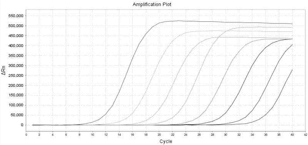 Kit for detecting PIK3CA gene mutation of colorectal cancer patient