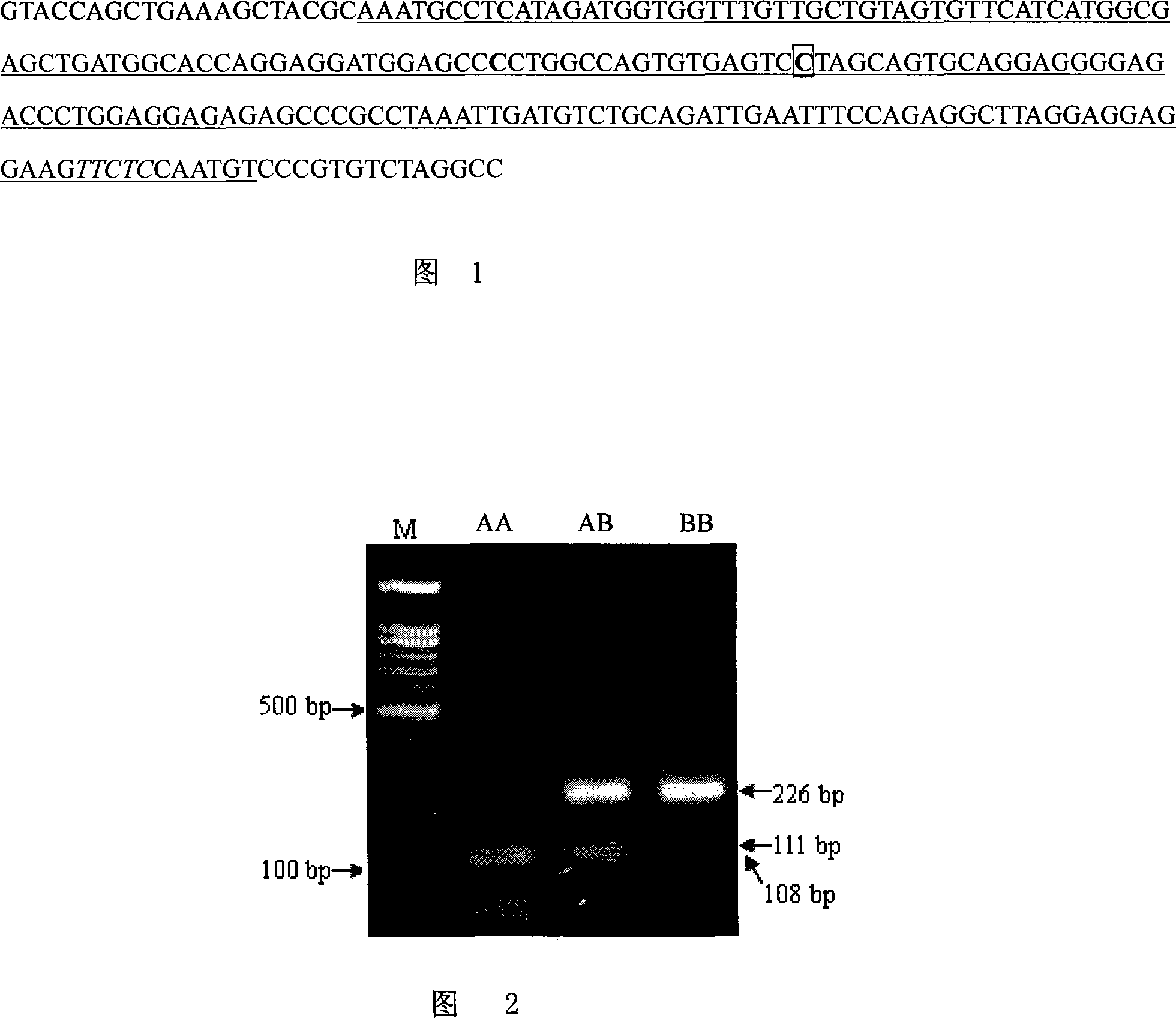 Method for detecting pork quality traits