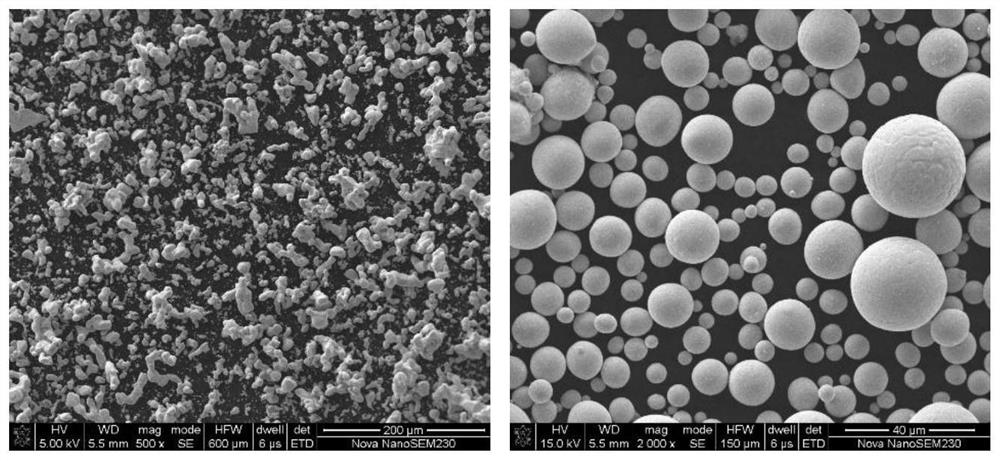 Spherical tantalum powder, preparation thereof and application of spherical tantalum powder in 3D printing