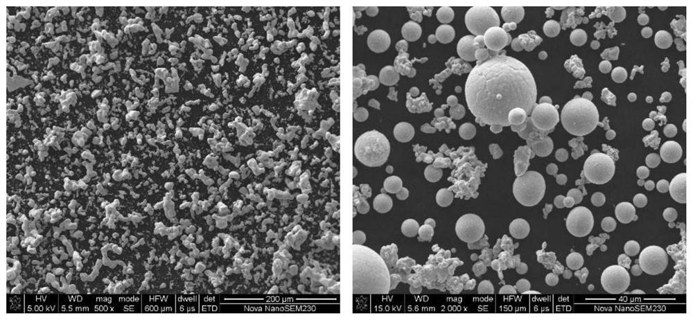 Spherical tantalum powder, preparation thereof and application of spherical tantalum powder in 3D printing