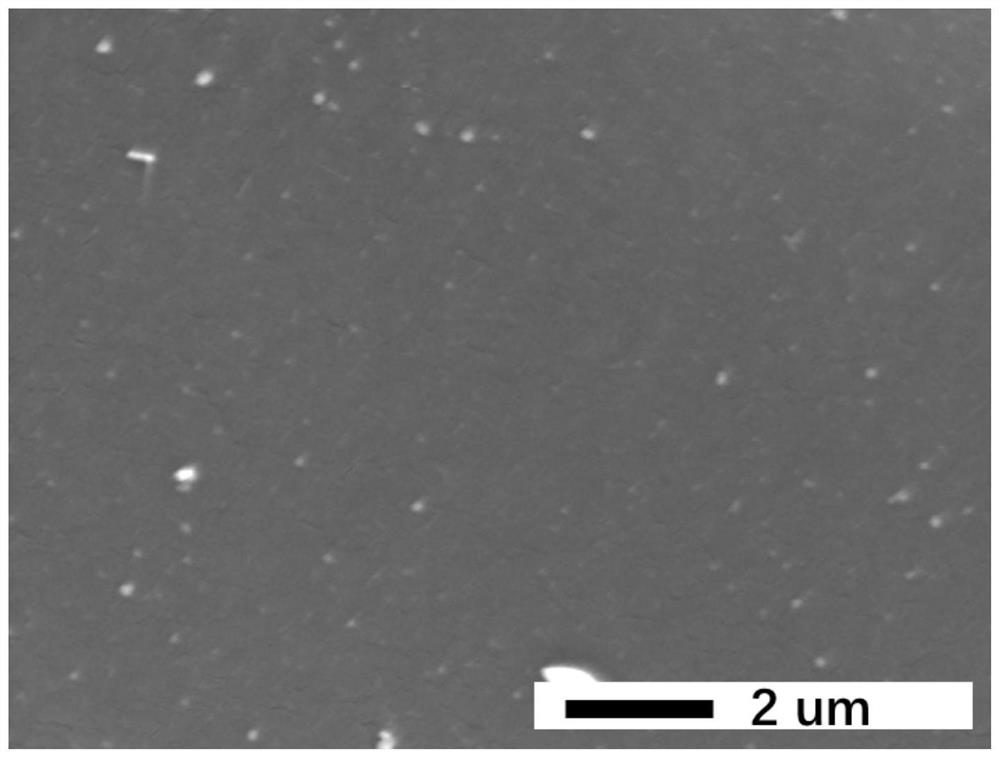 A high-throughput solvent-resistant interfacial polymerization composite membrane and its preparation method