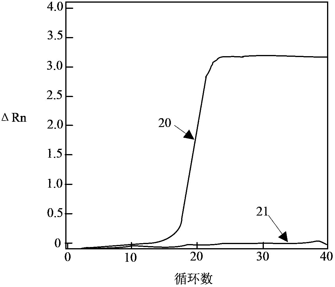 Probe applied to real-time detection of nucleic acid and application thereof