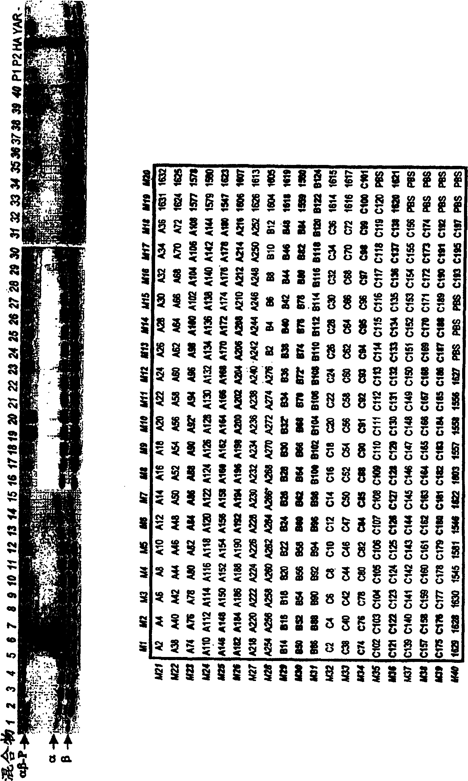 Method for isolating hepatitis c virus peptides