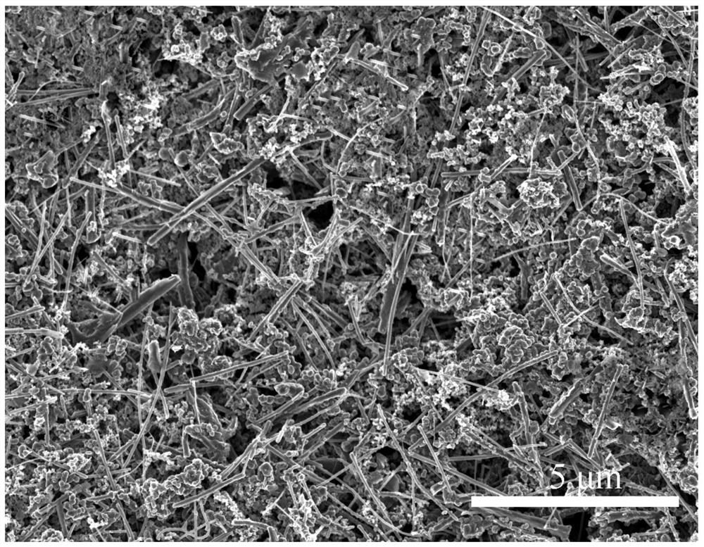 Silicon-carbon composite material and its preparation method and lithium-ion battery