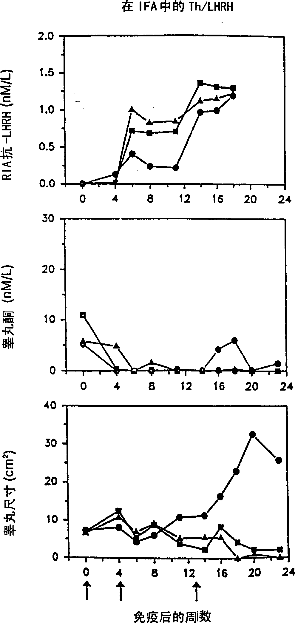 Artificial T helper cell epitopes as immune stimulators for synthetic peptide immunogens including immunogenic LHRH peptides