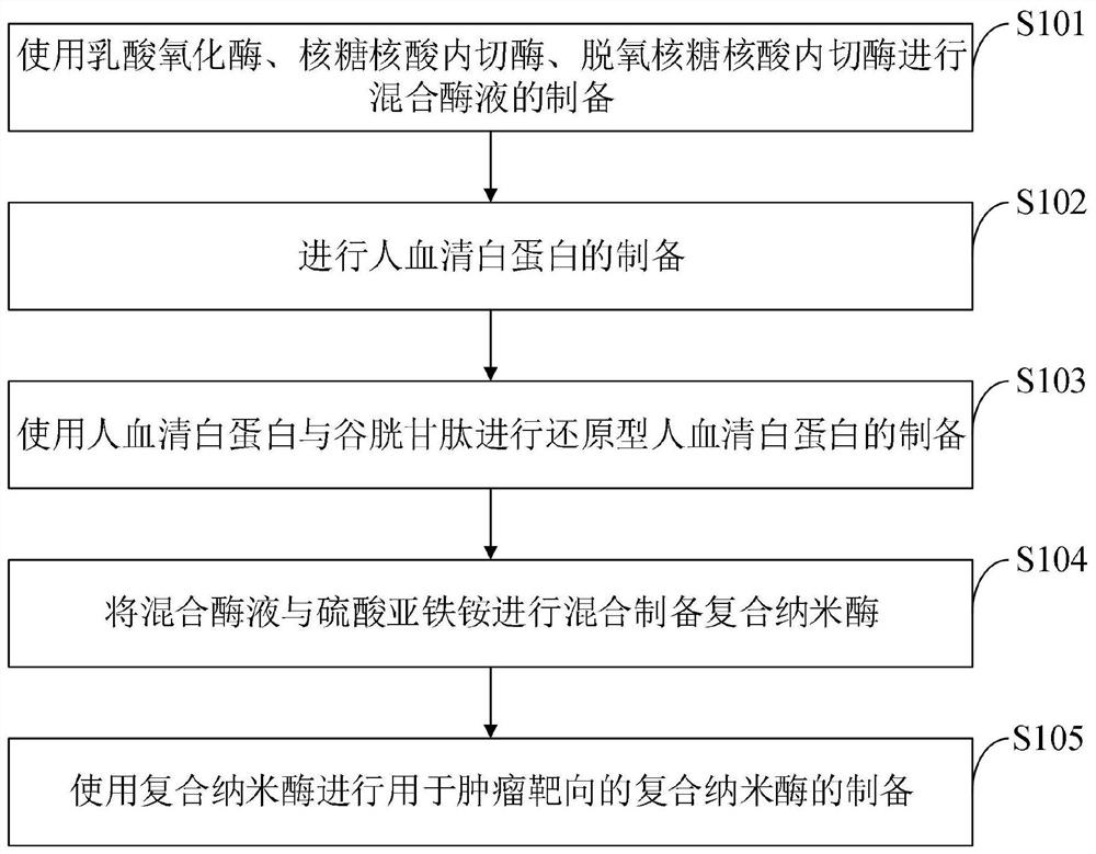 Composite nano-enzyme for tumor targeting as well as preparation method and application thereof