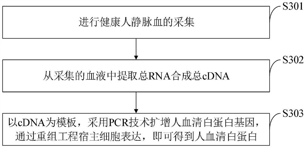 Composite nano-enzyme for tumor targeting as well as preparation method and application thereof