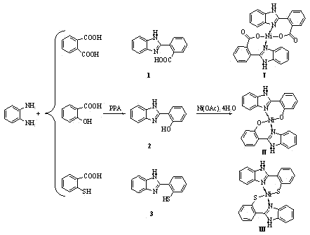 Dimethyl carbonate synthesis method by using methanol and carbon dioxide