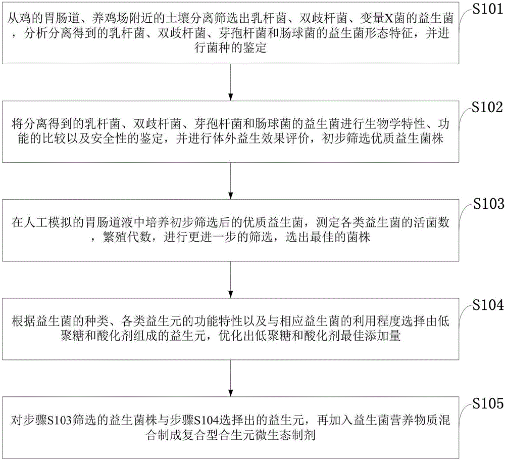 Composite type synbiotic microecological preparation for chickens and preparation method of composite type synbiotic microecological preparation