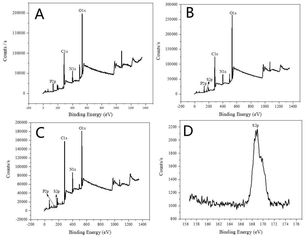 Preparation method and application of conductive polymer nanowire biosensor