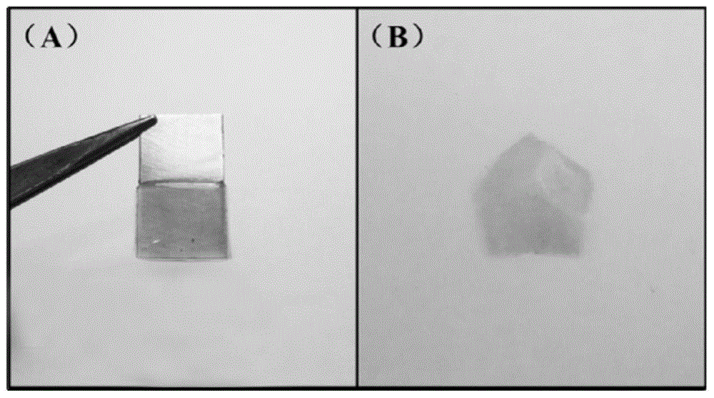 A kind of chitosan/gelatin/nano-silver conductive antibacterial biomaterial and preparation method thereof