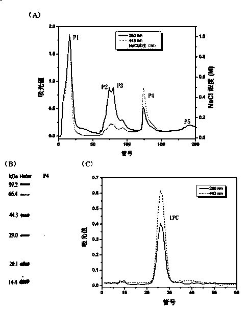 Extracting and purifying method of chlorella lutein protein complex