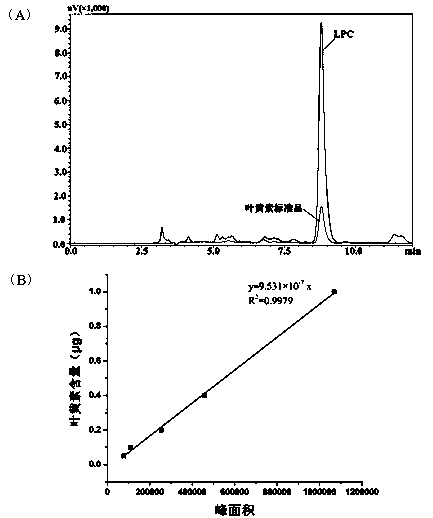 Extracting and purifying method of chlorella lutein protein complex