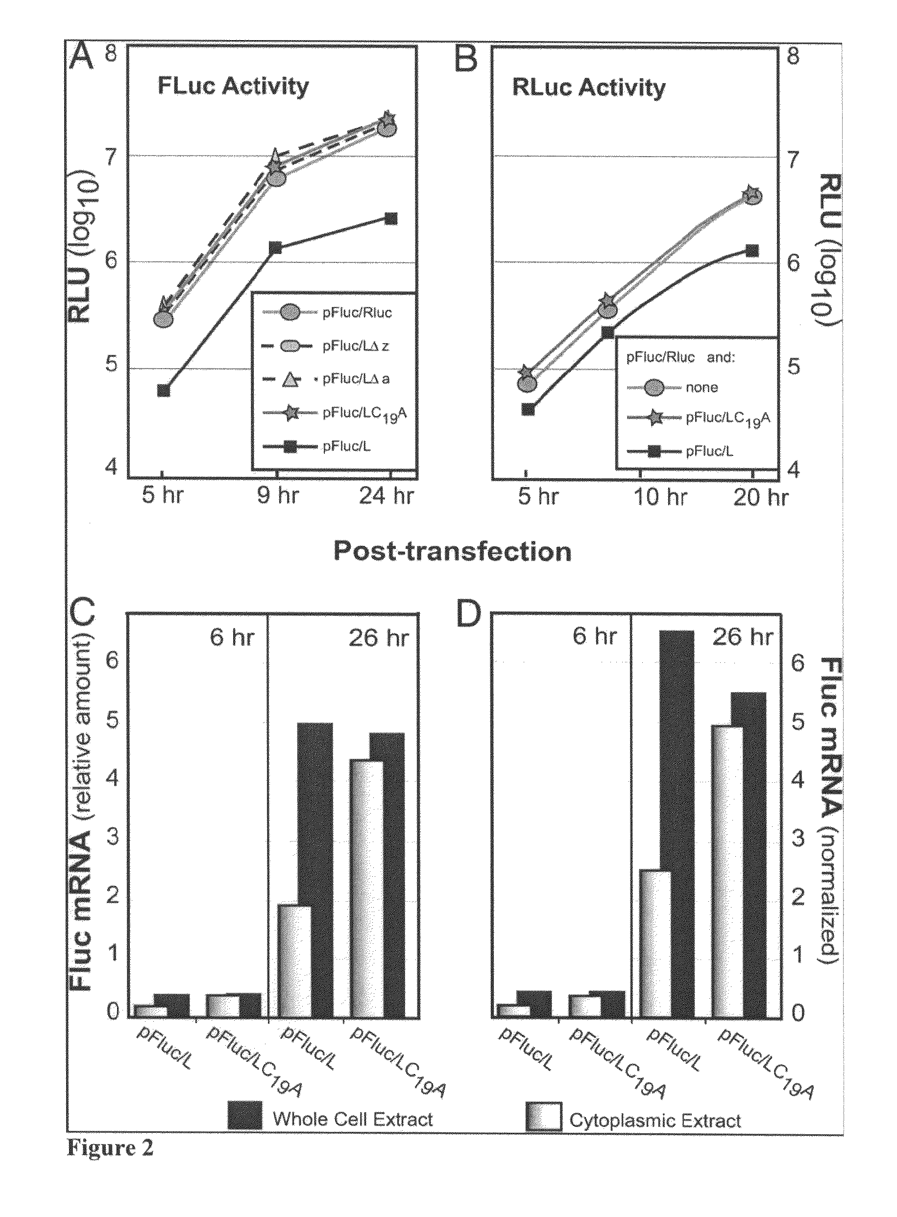 Protein inhibitor of Ran activity and methods of use thereof