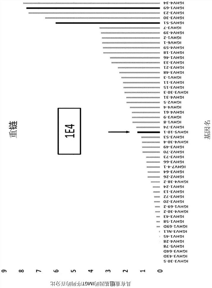 Anti-c-met antibody showing enhanced stability or antigen-binding fragments thereof