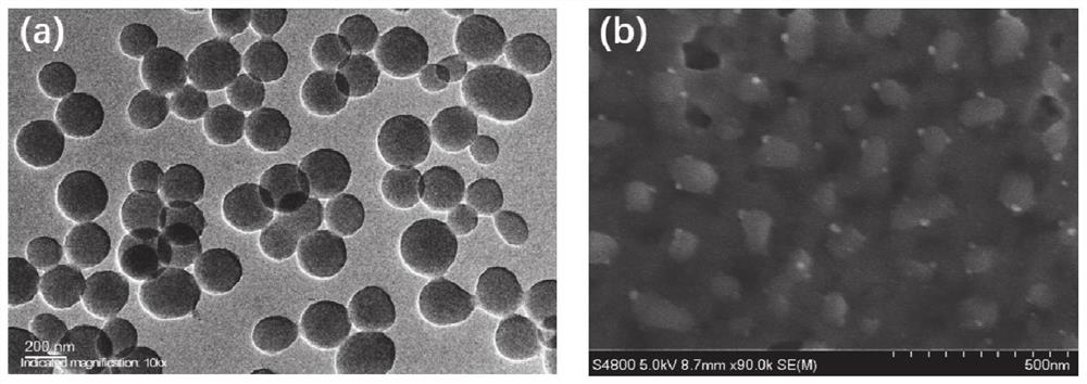 Bismuth vanadate photoanode and its preparation method and application