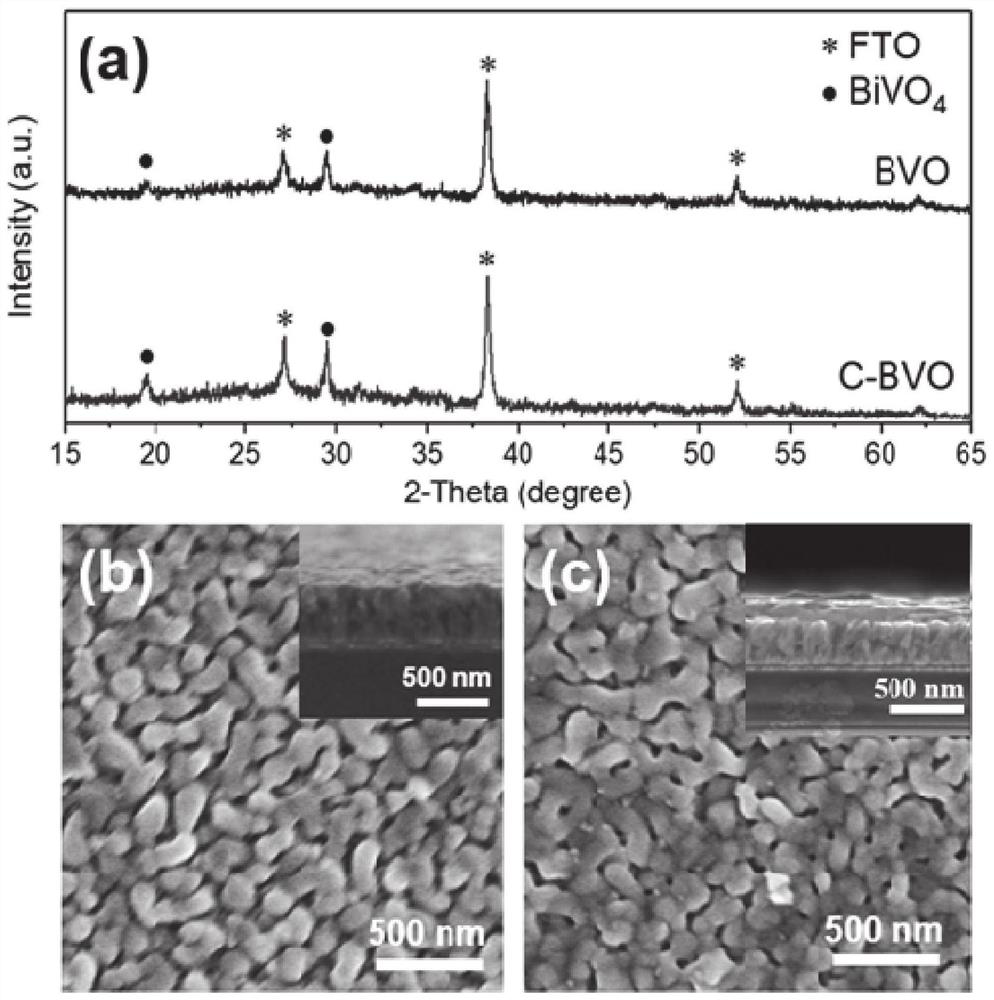 Bismuth vanadate photoanode and its preparation method and application