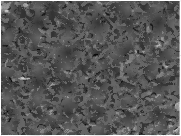 Hydrothermal preparation method of nickel passivated porous silicon