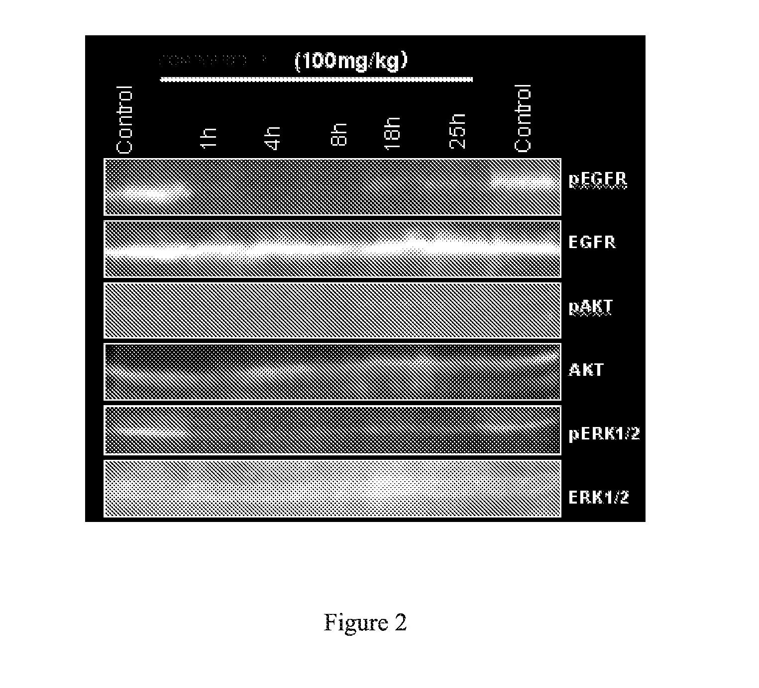 Novel pyrrolopyrimidine compounds as inhibitors of protein kinases