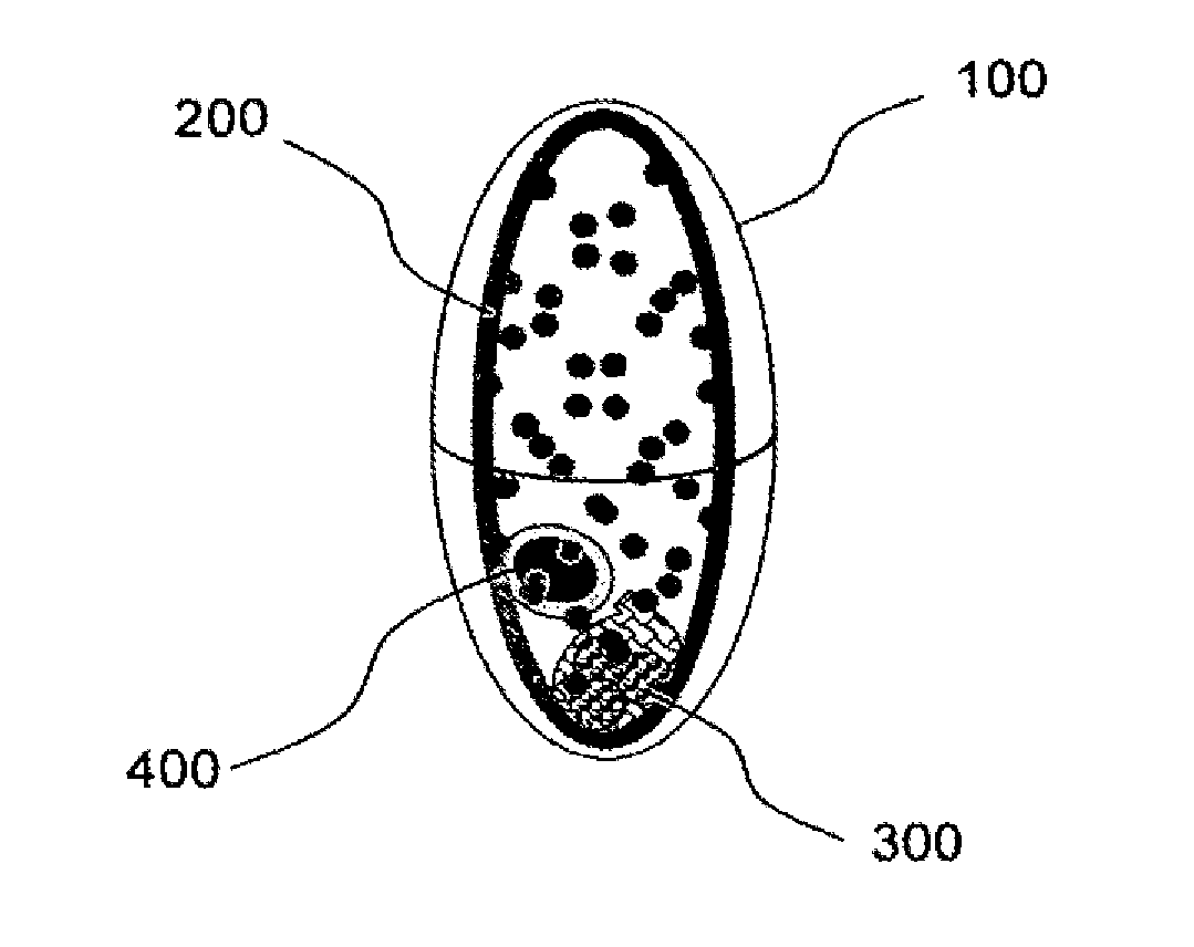 Device and method for reducing calorie intake