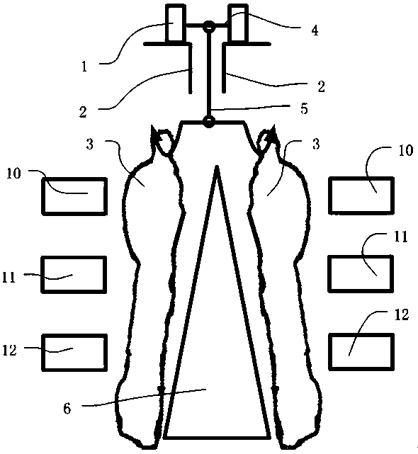 Livestock carcass skin marking device, system and marking method