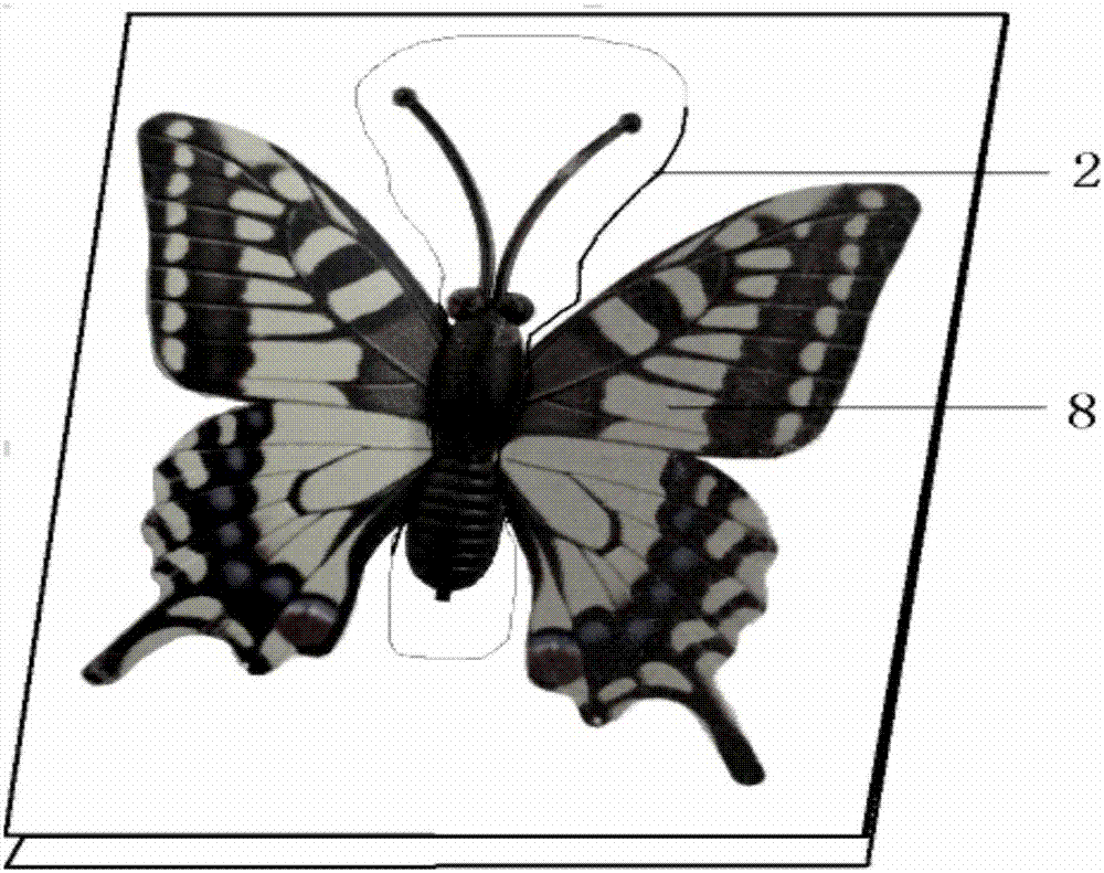 Method for making resin embedded Lepidoptera insect specimen