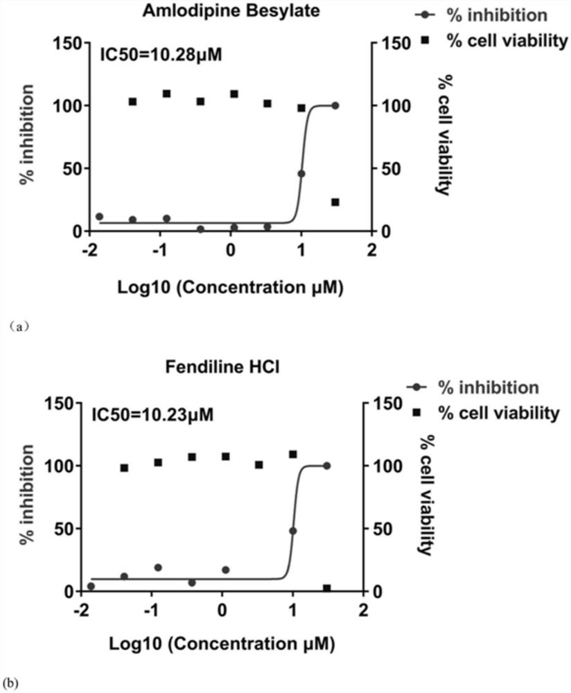 Medicine for resisting novel coronavirus SARS-CoV-2 and application thereof