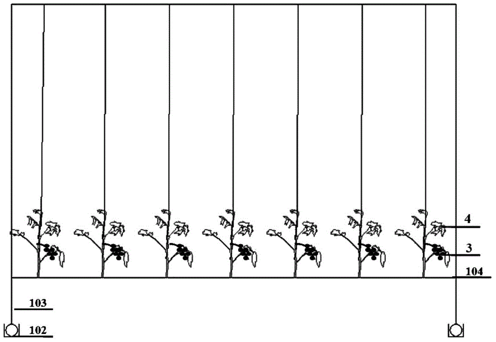 Movable cultivation device suitable for solar greenhouse and multi-segment cultivation method for fruits and vegetables