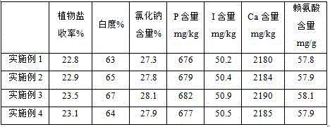 Vegetable salt and method for preparing suaeda salsa vegetable salt by adopting de-colorization technology utilizing diatomite