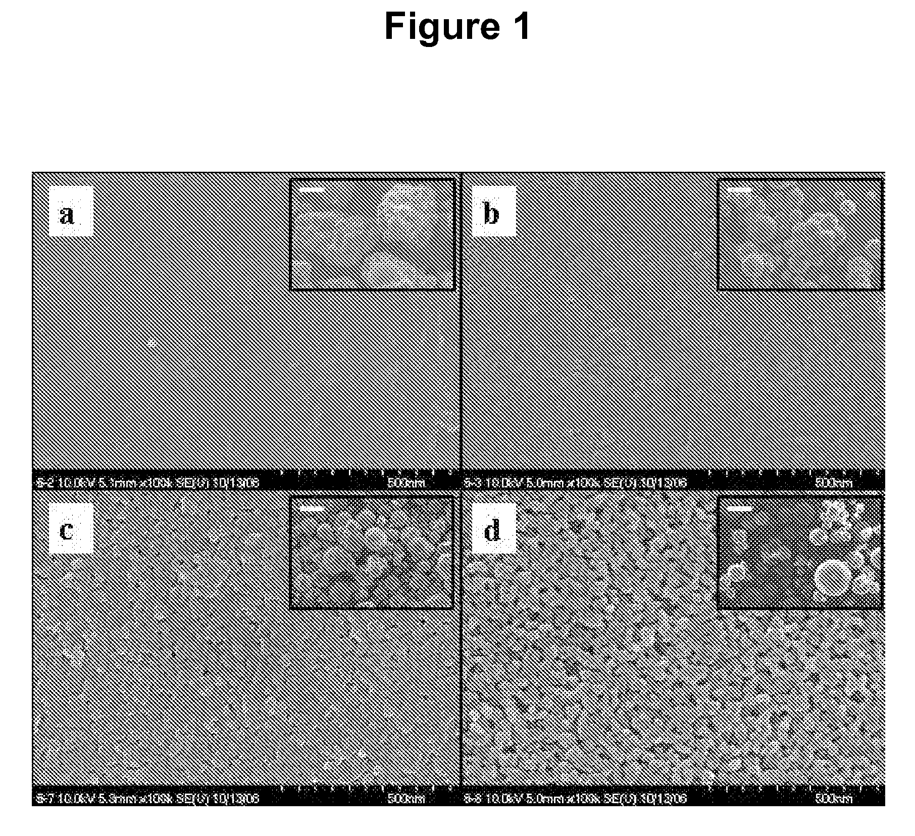 Mesoporous silica particles and preparation method thereof