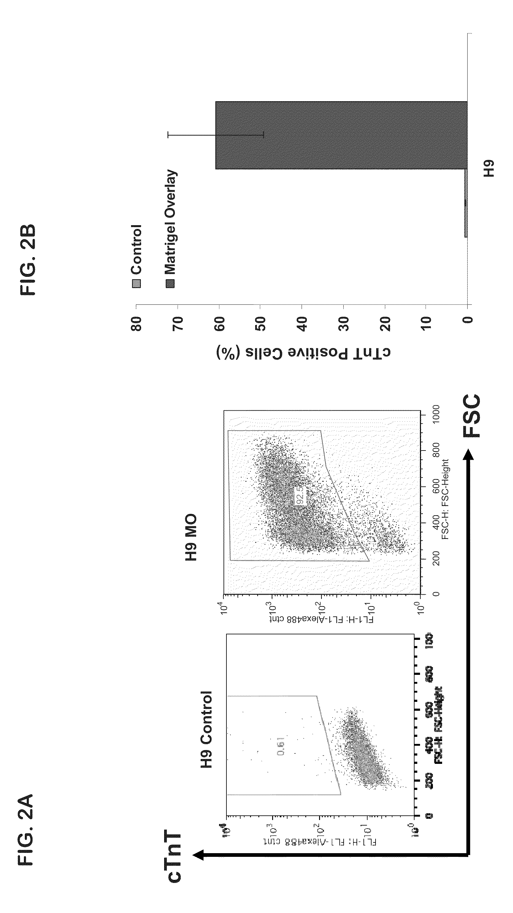 Cardiac differentiation of human pluripotent stem cells under defined conditions using matrix overlay methods