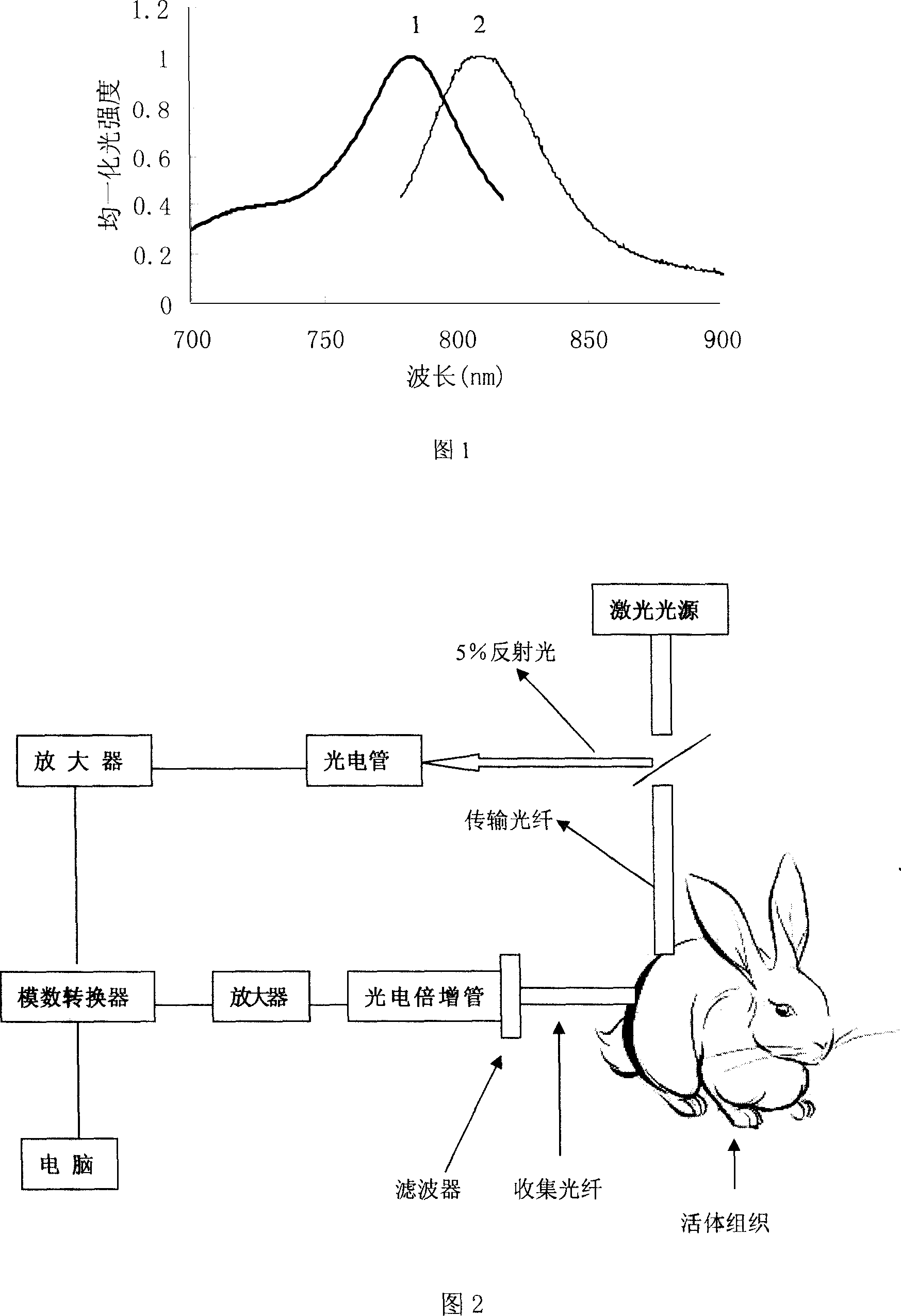 Pharmaceutical in vivo dynamics characteristic-nondestructive in situ monitoring system and monitoring method