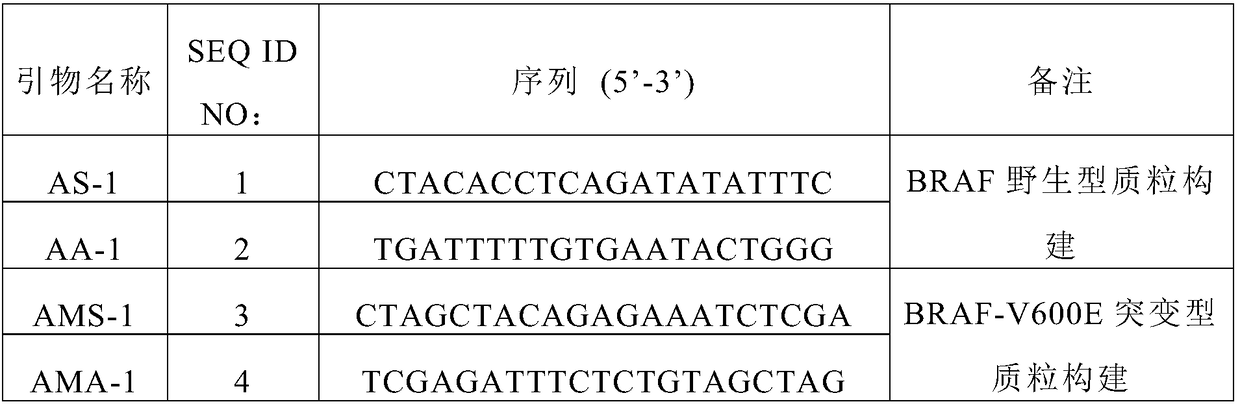 Method for improving diagnosis efficiency of BRAF gene V600E mutation