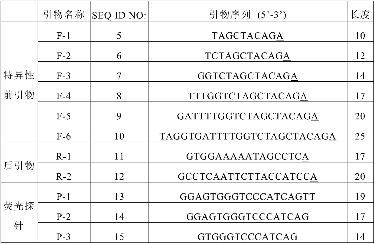 Method for improving diagnosis efficiency of BRAF gene V600E mutation