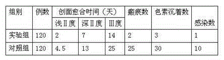 Traditional Chinese medicine powder for treating scalds and preparation method