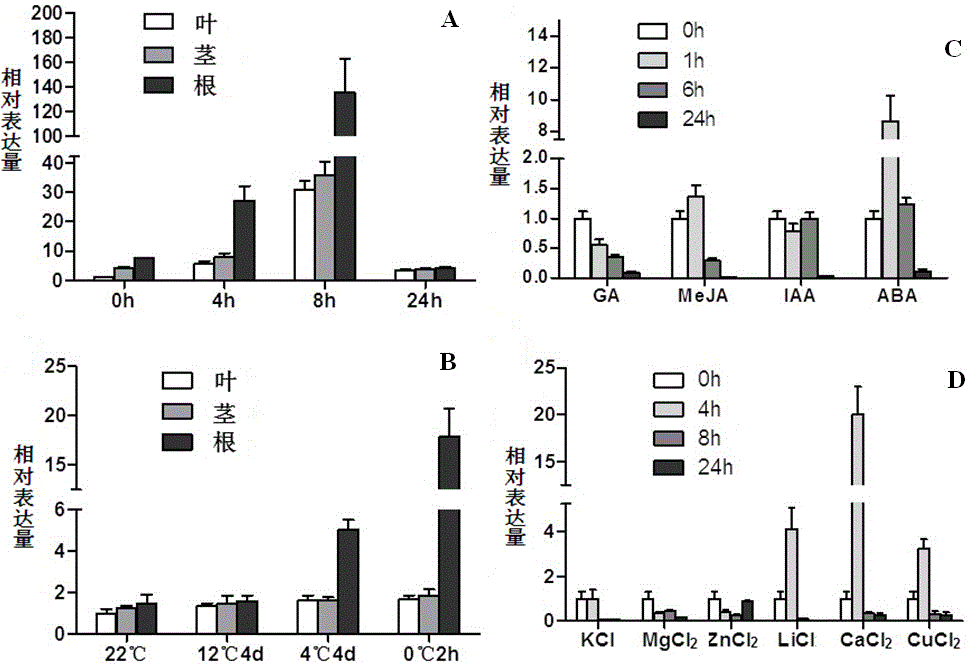 Capsella bursa-pastoris peroxidase gene and application of capsella bursa-pastoris peroxidase gene to improvement of cold resistance of economic plants