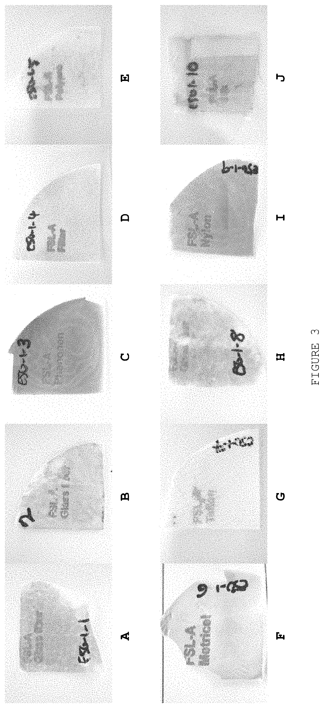Biocompatible method of functionalising substrates with inert surfaces