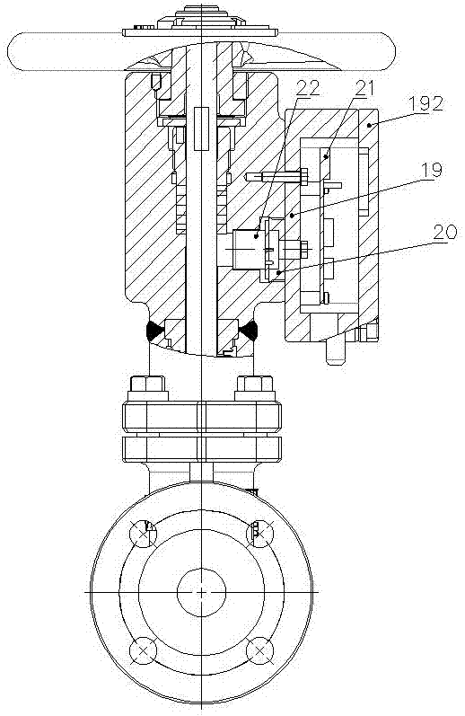 Intelligent ammonia leakage control valve