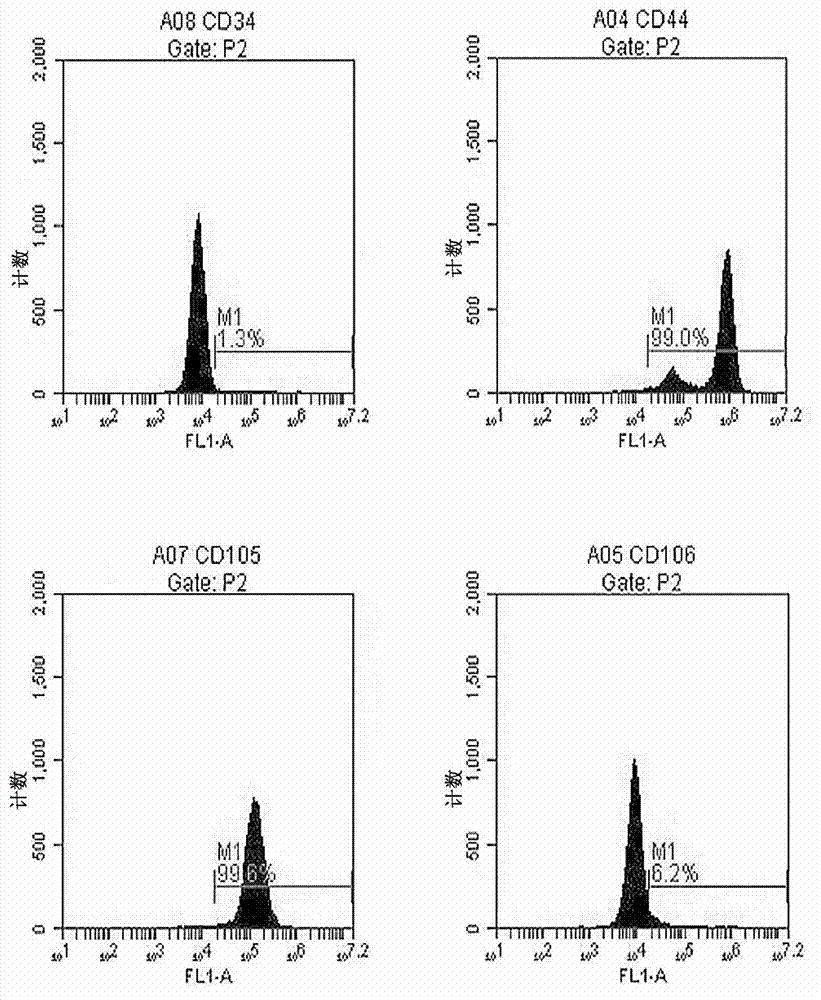 Pancreatic stem cell preparation method and special culture medium composition therefor