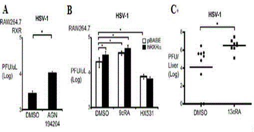 Application of RXR in construction of susceptibility model of herpes simplex virus type 1 (HSV-1)