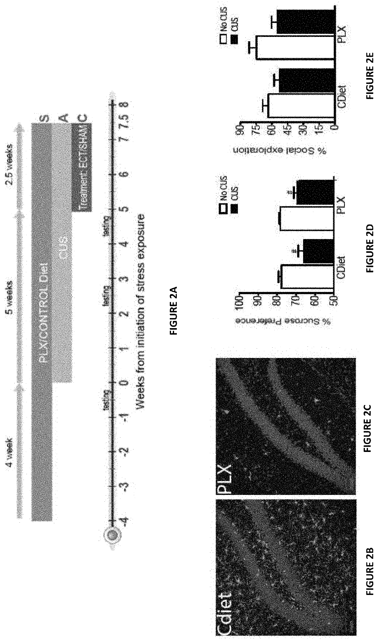 Microglia modulators for use in treatment of depression