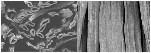 A kind of capacitive sensor material and its preparation method and application