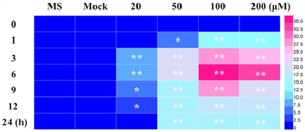 Nicotiana benthamiana secreting type glandular hair regulation gene NbJAZ3 as well as expression vector and application thereof