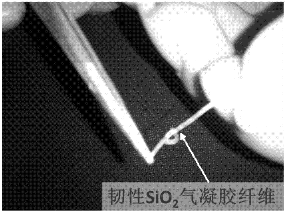 A pvp coated resilient sio  <sub>2</sub> Preparation method of airgel fiber