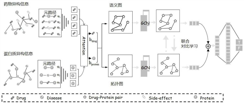 A Drug-Target Interaction Prediction Method Based on Contrastive Learning of Supervised Synergy Graphs