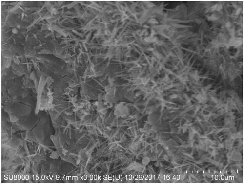 Preparation method and application of biochar-Ni/Fe layered double hydroxide composite material