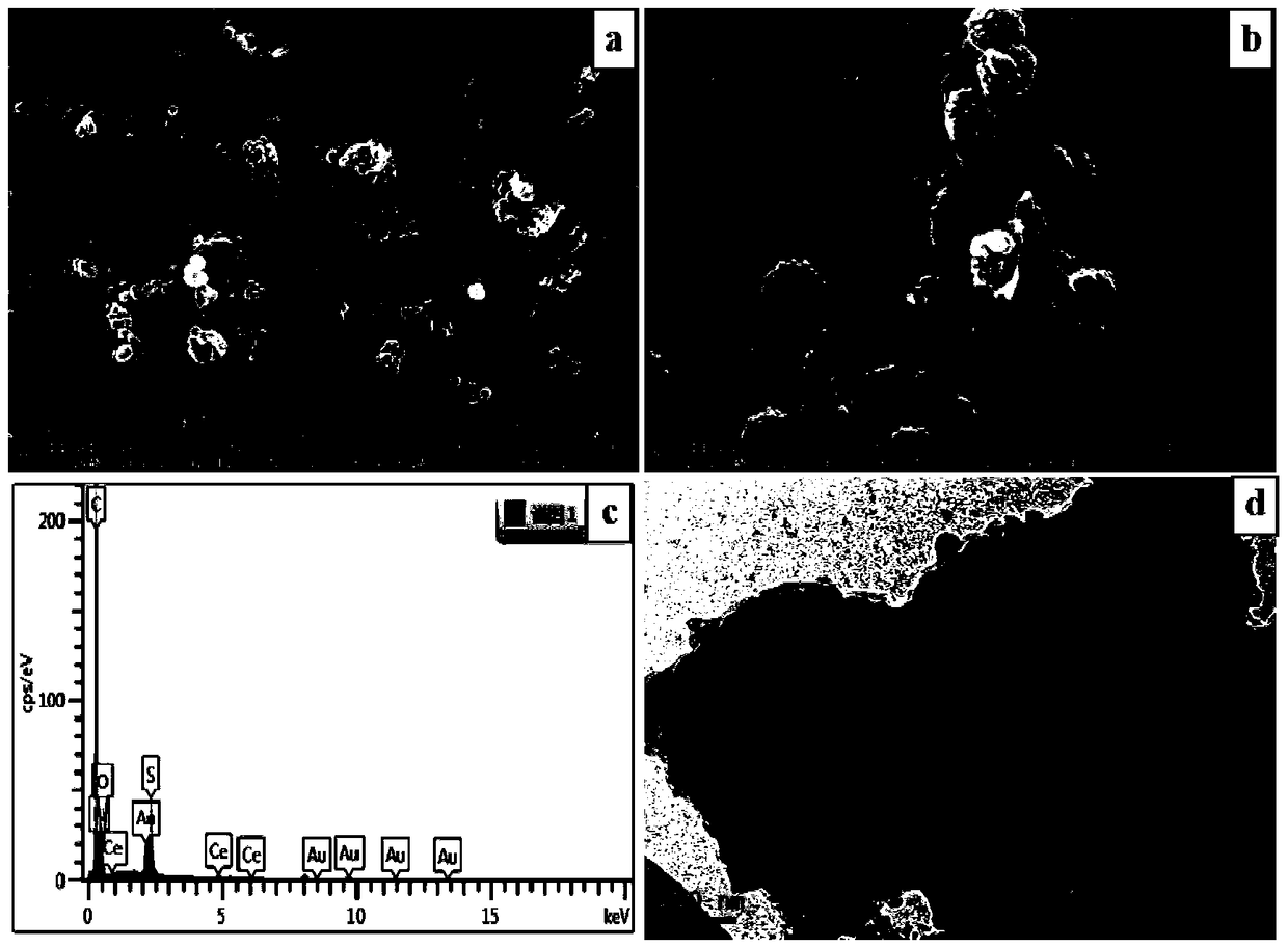 A kind of symmetrical button supercapacitor electrode material and symmetrical button supercapacitor