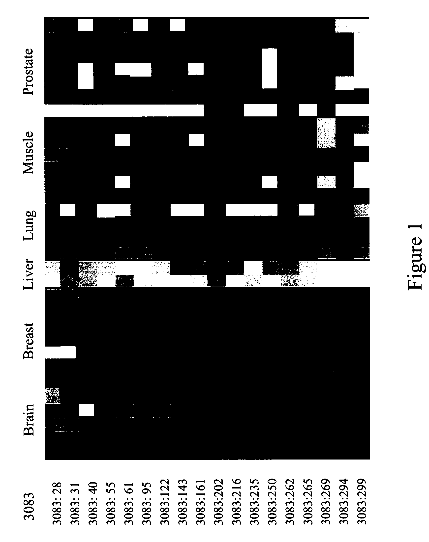 Methods and compositions for differentiating tissues for cell types using epigenetic markers