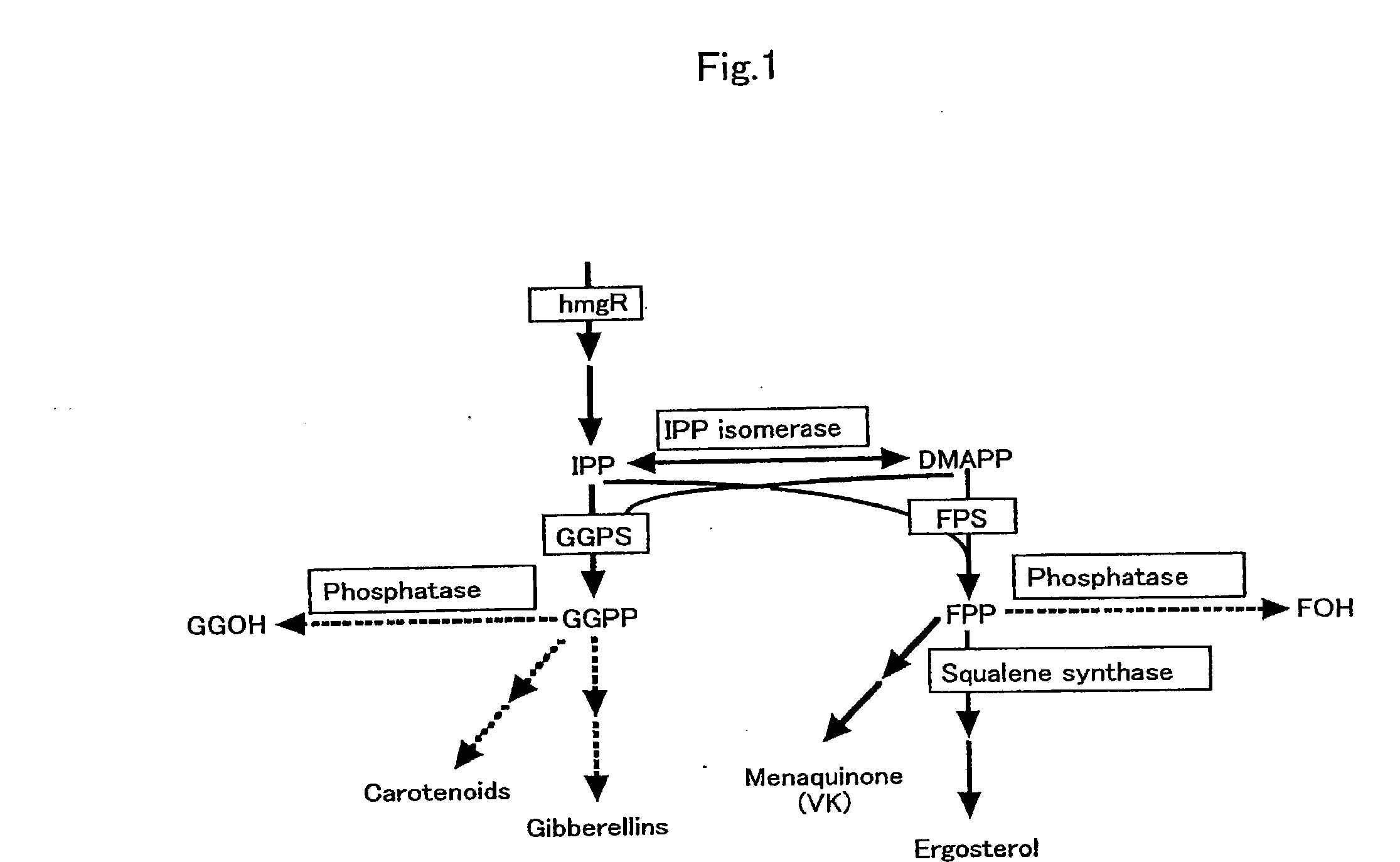 Process for producing prenyl alcohols